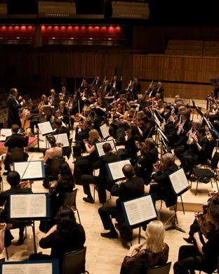 The Magical Music of Harry Potter - Live in Concert