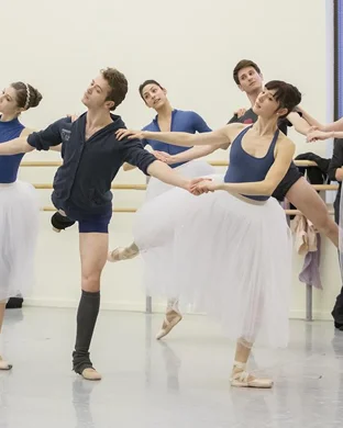 Ballet of Lights: Sleeping Beauty in a Sparkling Show